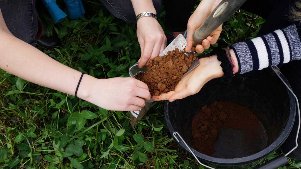 In praise of soils: World Soil Day