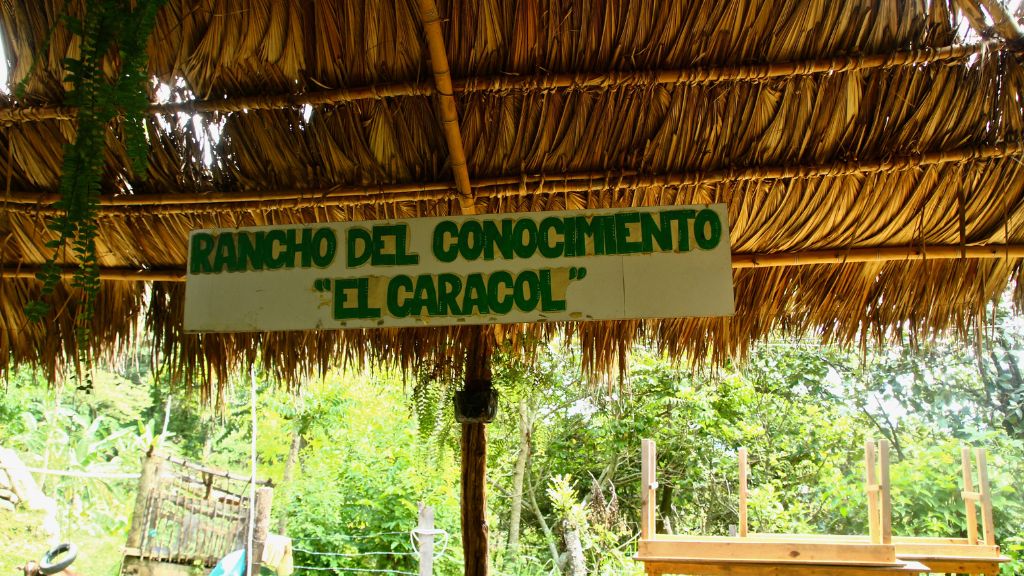 ACPC meeting space, where knowledge (conocimiento) is shared. Caracol means snail, but is indicative of the symbol of the shell; circular.