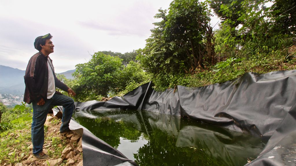 Alfredo Cortez, founder of the local agroecology association ACPC (Association of Committees of Community Production), standing in front of a water catchment