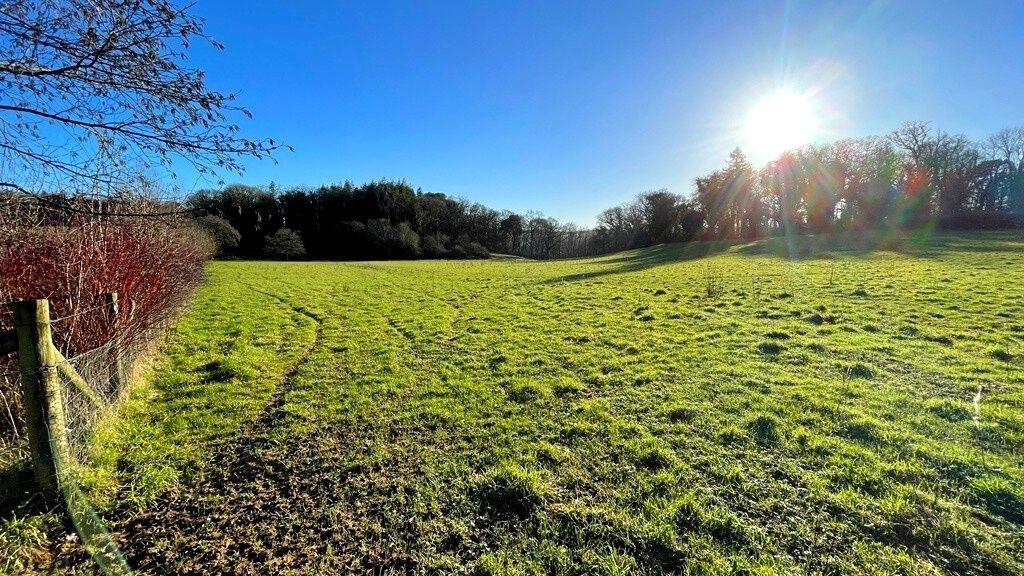 Field on the Dartington estate