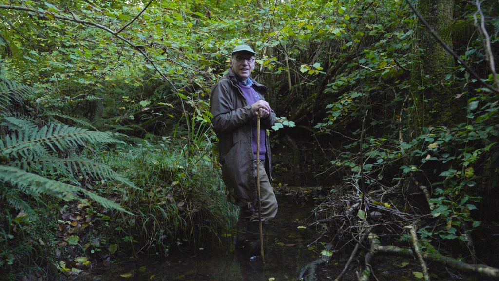 Ecologist Stephan Harding on the Dartington estate