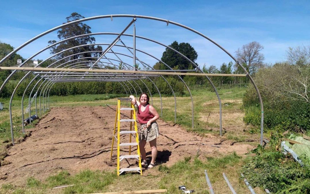Zero-miles food takes on a whole new dimension at Dartington a with brand new polytunnel