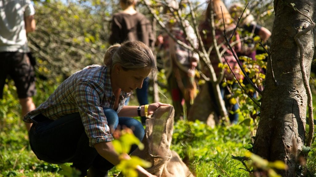 woman picking apples