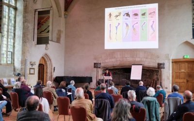 Holistic Science conference brings leading researchers to Dartington