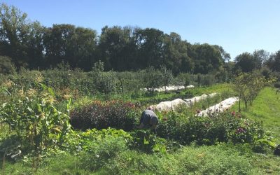 Regenerative Farming – Graduate Research Assistantships for 2022