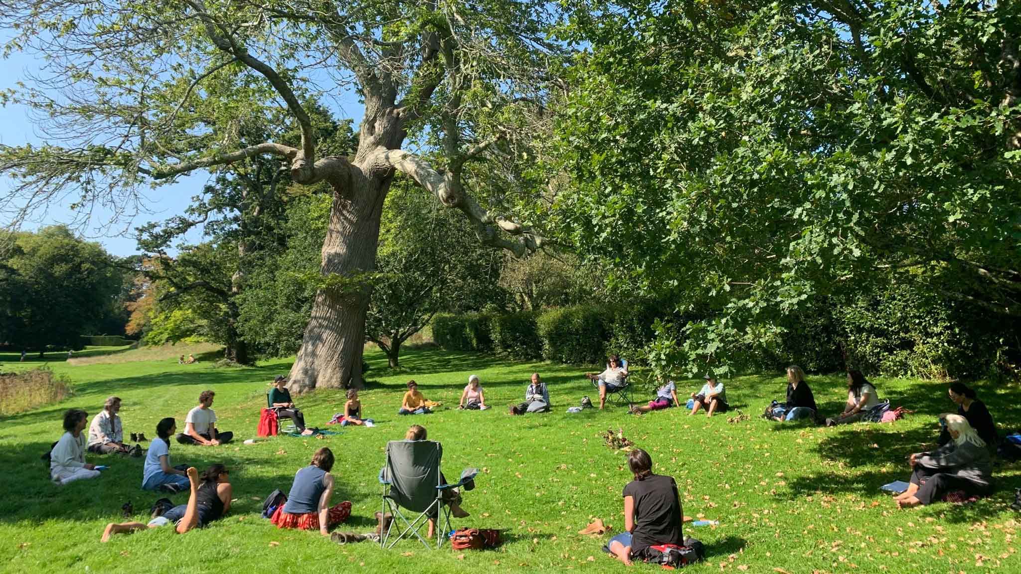 students sitting by tree in soulful connection with trees course