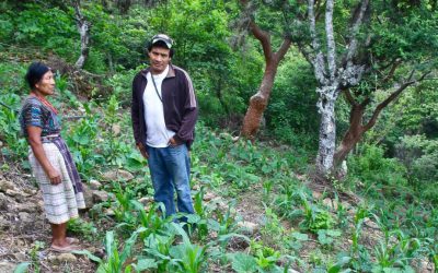 Our Man in Guatemala: Nathan Einbinder on his agroecology research