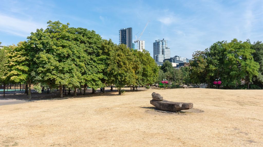 Stock image of city park with dry grass