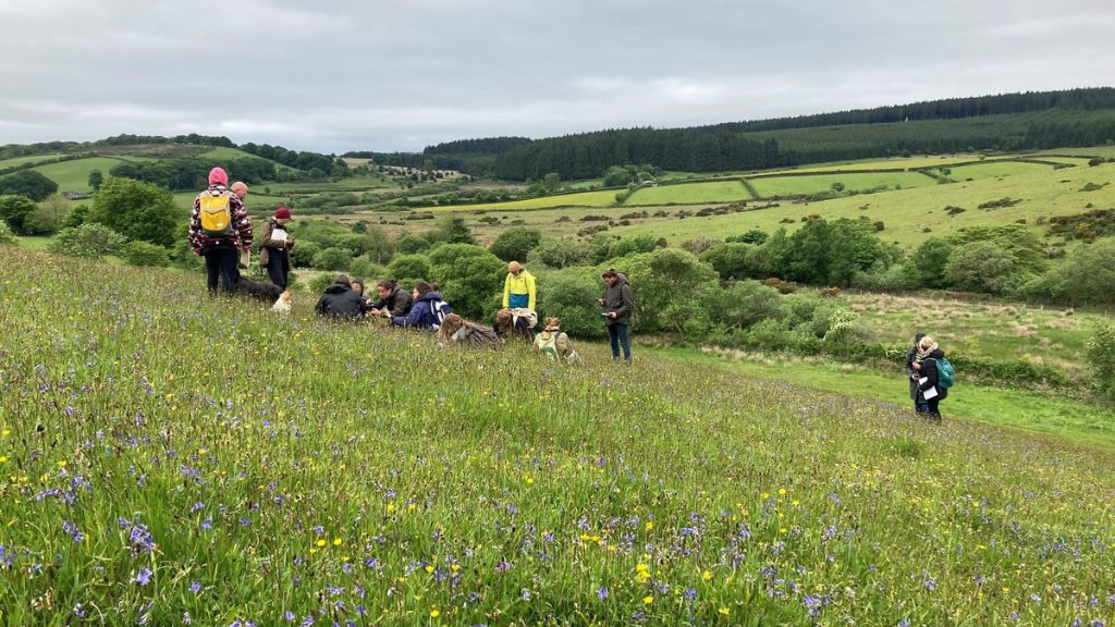 Students on the MSc Regenerative Farming at Dartington visit Dartmoor